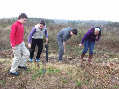 Preme para ver a foto ampliada