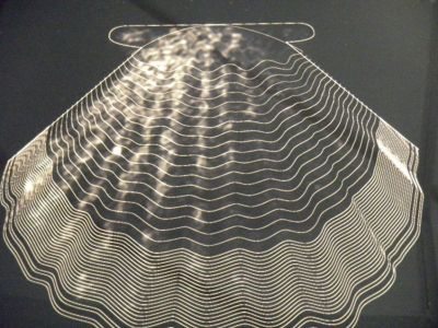 Preme para ver a foto ampliada