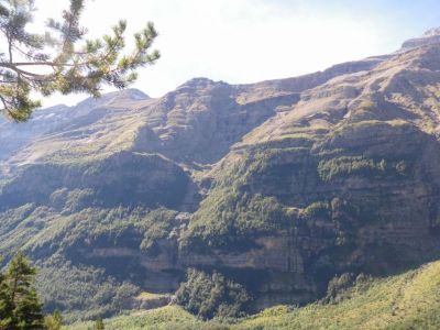 Preme para ver a foto ampliada