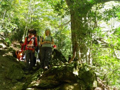 Preme para ver a foto ampliada