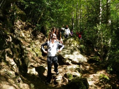 Preme para ver a foto ampliada