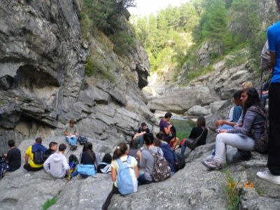 Preme para ver a foto ampliada