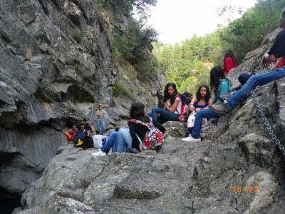 Preme para ver a foto ampliada