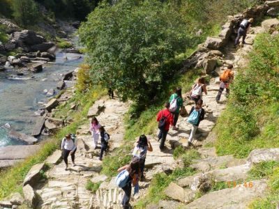 Preme para ver a foto ampliada