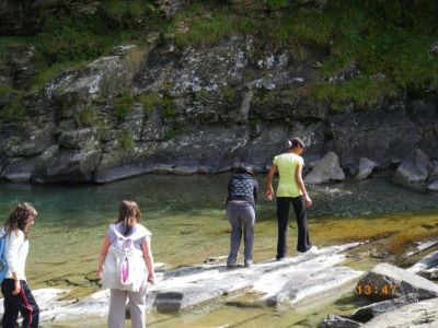 Preme para ver a foto ampliada