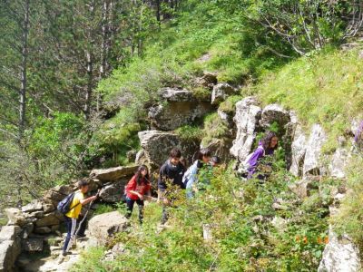 Preme para ver a foto ampliada