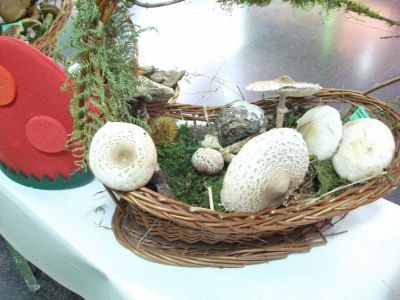 Preme para ver a foto ampliada