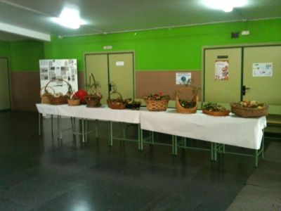 Preme para ver a foto ampliada