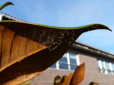 Preme para ver a foto ampliada