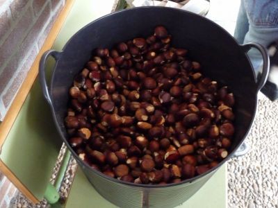 Preme para ver a foto ampliada