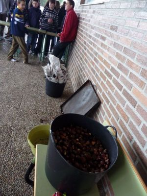 Preme para ver a foto ampliada