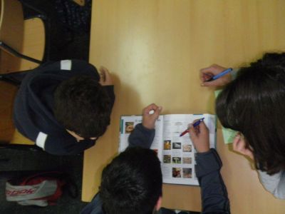 Preme para ver a foto ampliada