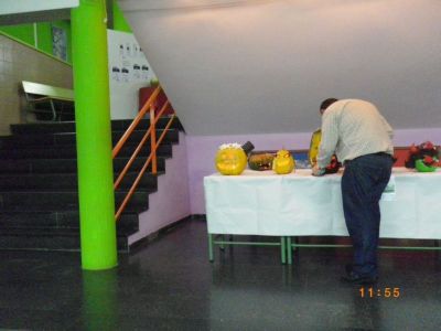 Preme para ver a foto ampliada