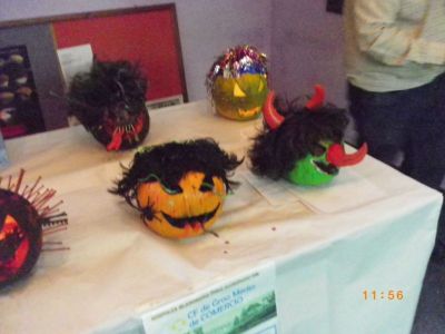 Preme para ver a foto ampliada