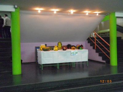 Preme para ver a foto ampliada