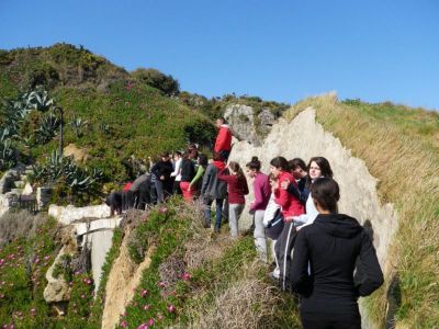 Preme para ver a foto ampliada