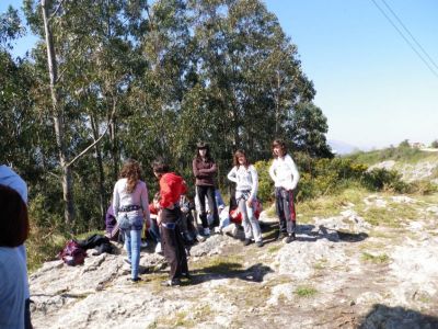 Preme para ver a foto ampliada