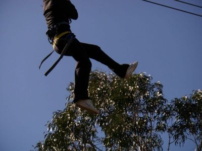 Preme para ver a foto ampliada