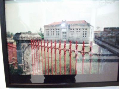 Preme para ver a foto ampliada