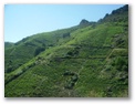 manzaneda_053.jpg