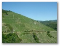 manzaneda_054.jpg