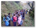 00010_o_courel_out2006.jpg
