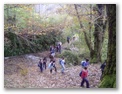 00011_o_courel_out2006.jpg