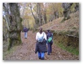 00016_o_courel_out2006.jpg