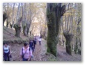 00017_o_courel_out2006.jpg