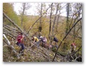 00025_o_courel_out2006.jpg