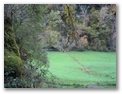 00027_o_courel_out2006.jpg