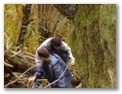 00029_o_courel_out2006.jpg