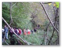 00033_o_courel_out2006.jpg
