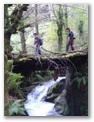 00034_o_courel_out2006_lar.jpg
