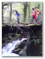 00035_o_courel_out2006_lar.jpg