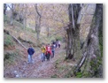 00036_o_courel_out2006.jpg