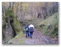 00037_o_courel_out2006.jpg