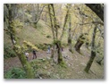 00038_o_courel_out2006.jpg