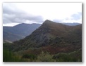 00043_o_courel_out2006.jpg