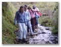 00051_o_courel_out2006.jpg
