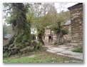 00056_o_courel_out2006.jpg