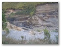 00058_o_courel_out2006.jpg