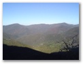 00066_o_courel_out2006.jpg