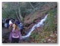 00069_o_courel_out2006.jpg