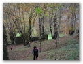 00076_o_courel_out2006.jpg