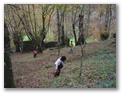 00077_o_courel_out2006.jpg