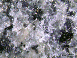 Documento de Word con actividades