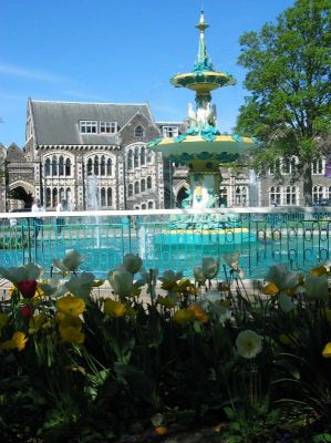 Preme para ver a foto ampliada