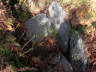 Pincha para visualizar a foto