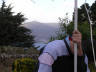 Pincha para visualizar a foto
